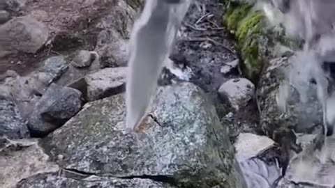 Coisas que os humanos não deveriam ver