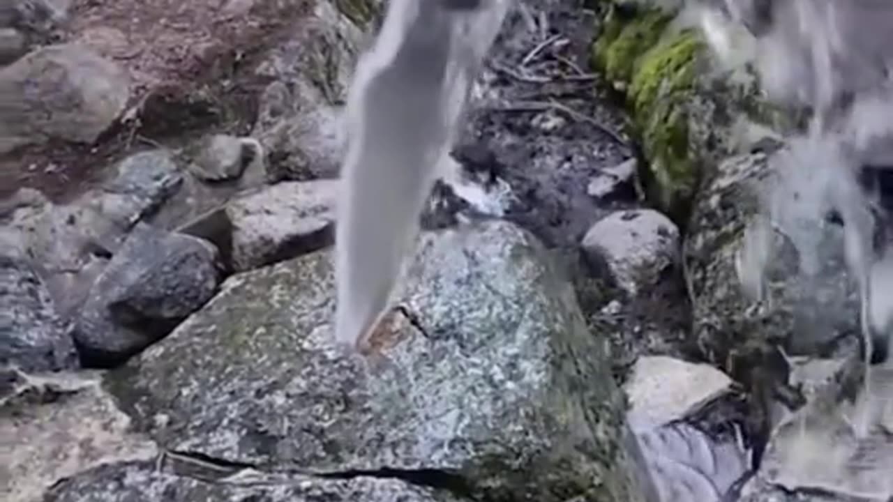 Coisas que os humanos não deveriam ver