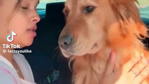 🤣🐾 No Lip Kisses! The Funniest Pet Rejection Ever! | FunFM