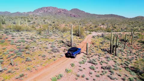 Extraordinary Adventure in the Arizona Mountains - Backway to Crown King