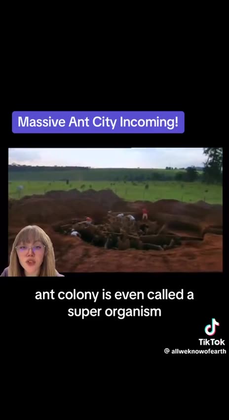 Massive Ant City Incoming!