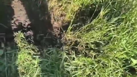 🚀💣 Ukraine Russia War | Russian Soldiers Use Autonomous Robot for Supply Run Under Fire | RCF