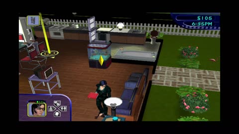 The SIMS PS2