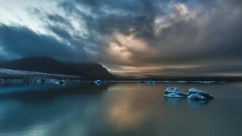 Ascended Dragon Collective via Galaxygirl January 24th, 2019