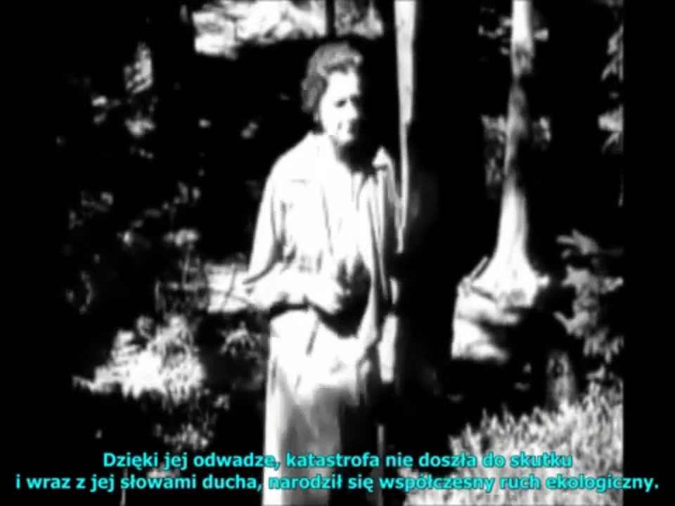 Pestycyd DDT - Rachel Carson - Silent Spring