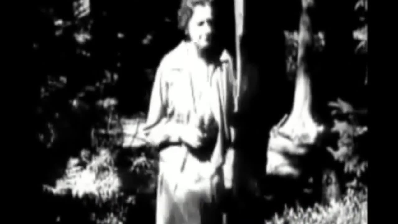 Pestycyd DDT - Rachel Carson - Silent Spring