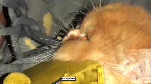 Don't take my food