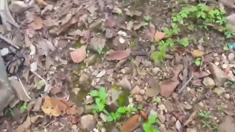 🎯🏰 Myanmar Conflict | KNLA Brigade Captures Ka Nay Lay Base near Myawaddy | RCF