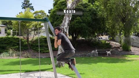 how different animals use swing set