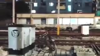 😂🤝 Good Samaritan's Unbelievable Act! | FunFM