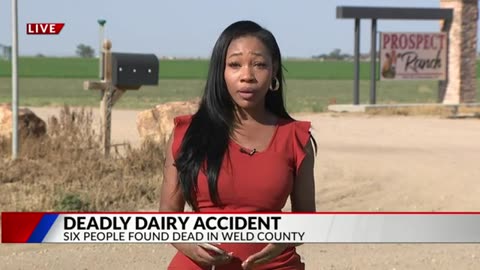 6 dead after ‘dairy accident’ in Weld County: Fire Chief
