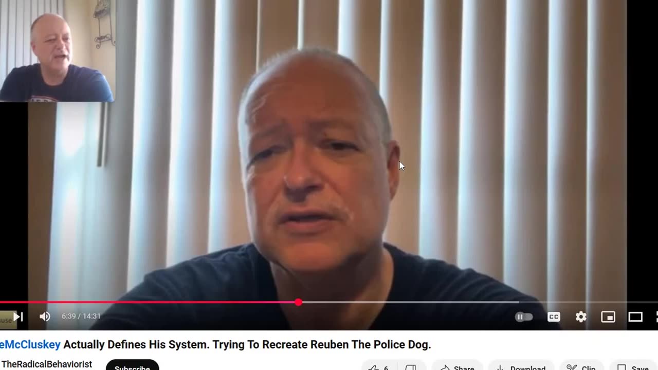 Robert Hynes - Playing the Bully and Victim Card at the same time - Flipping the Script