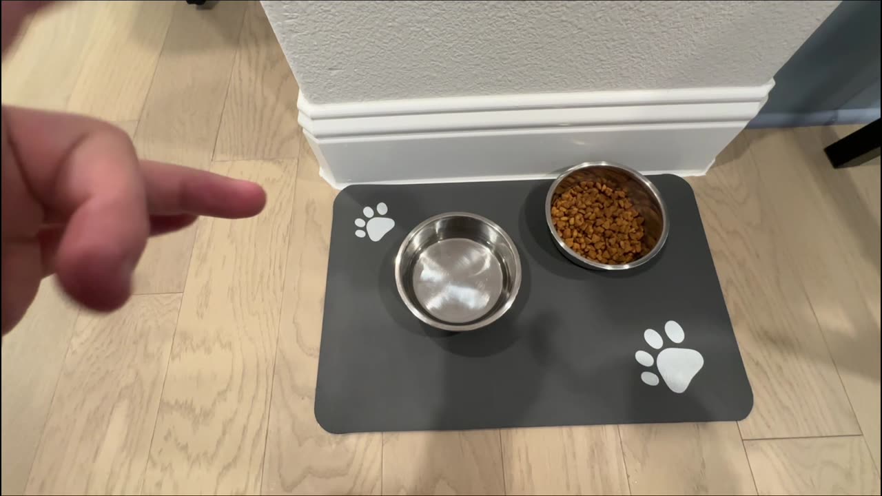 Pet Must Have | Pet Feeding Absorbent Mat