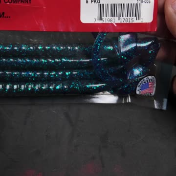 How I Catch Big Bass With a 12 Inch Worm!