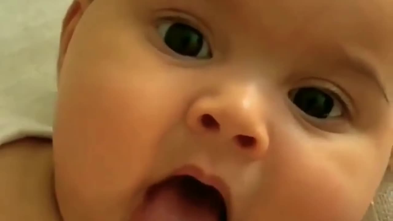 Brace yourself for an overload of cuteness! 😍