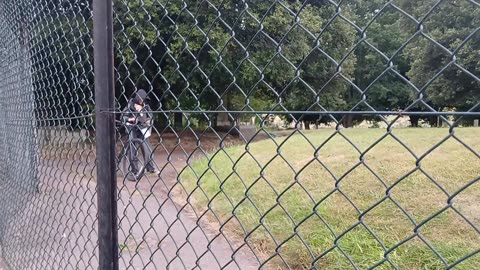 Sunflower smiles worker delivering smile notes