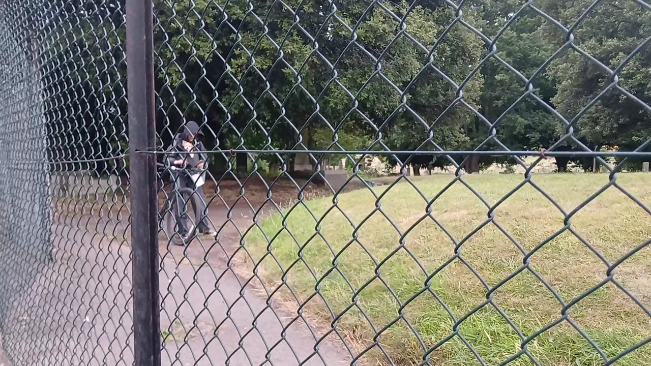 Sunflower smiles worker delivering smile notes