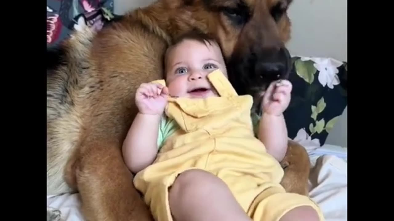 Animals Being ABSOLUTE Goofballs – Caught on Camera! 🐶🤣