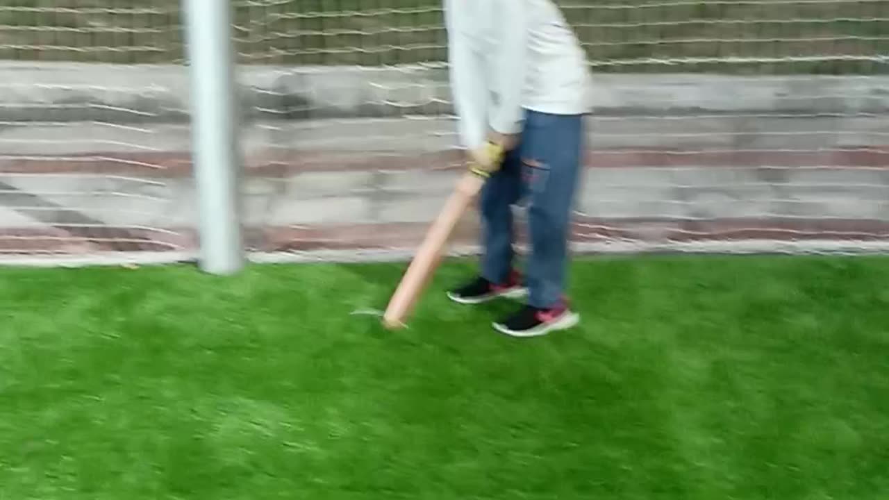 Cricket day with family