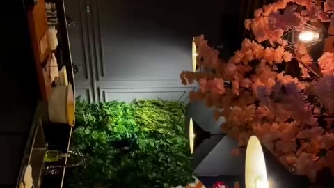 The COMPLETE Japanese Restaurant Experience: Ambience, Food & Feelings!
