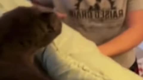 Try not to laugh 😂😂😂 #animals #funny #pet #dog #funnyanimals #funnyvideos #haha #dogsoftiktok #cat #