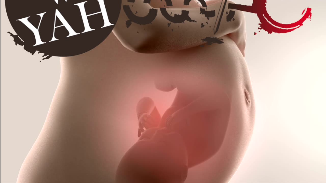 I Knew You before the womb / WWY #shorts S101