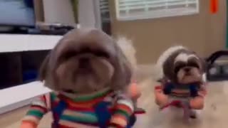 🎃😂 Halloween Stuff That Will Crack You Up! | FunFM