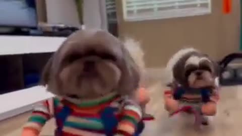 🎃😂 Halloween Stuff That Will Crack You Up! | FunFM