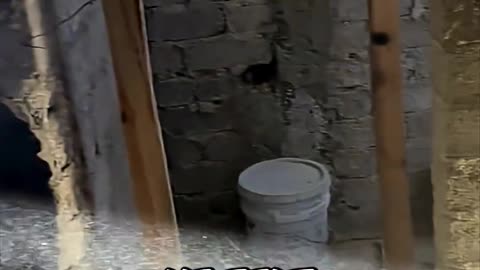 Asking God for a Sign… He Delivered