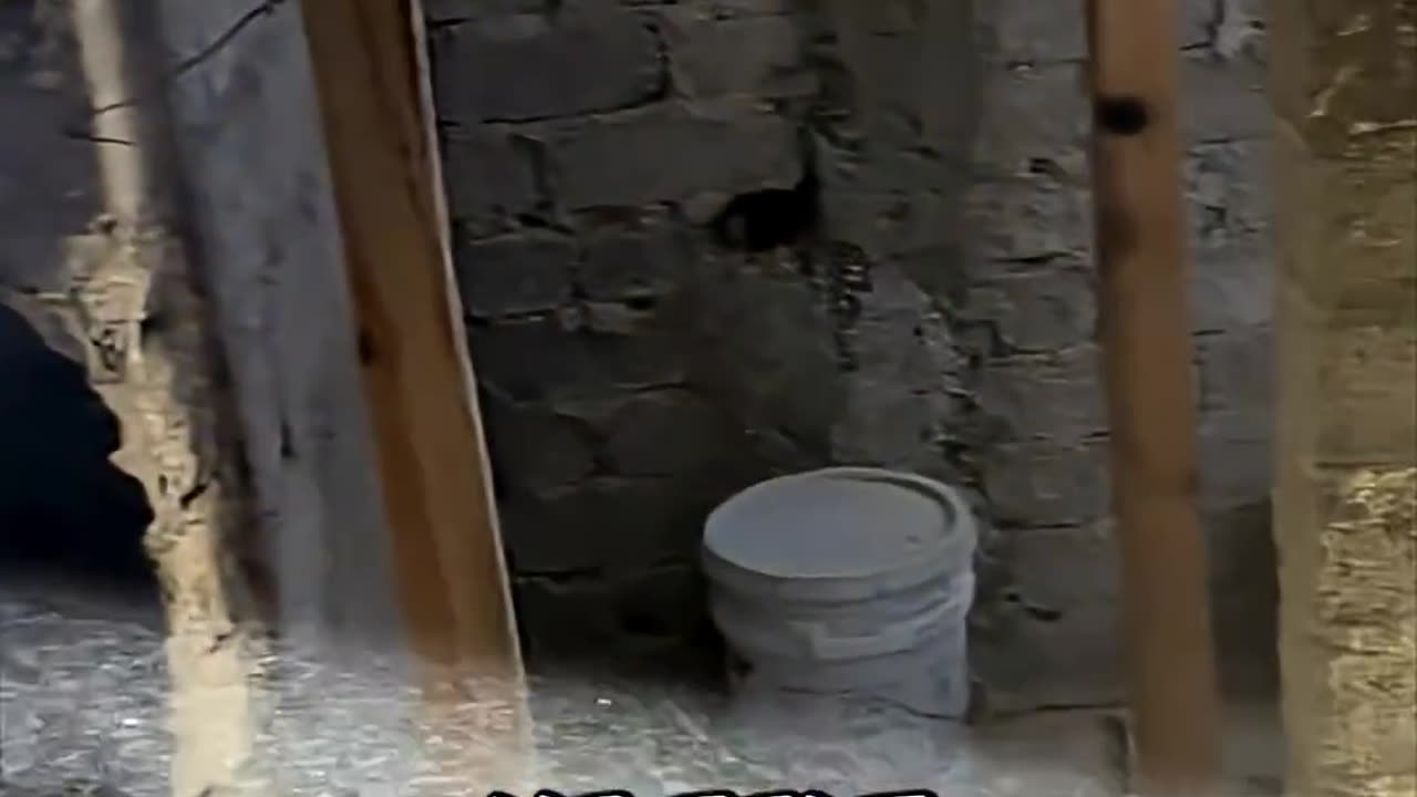 Asking God for a Sign… He Delivered