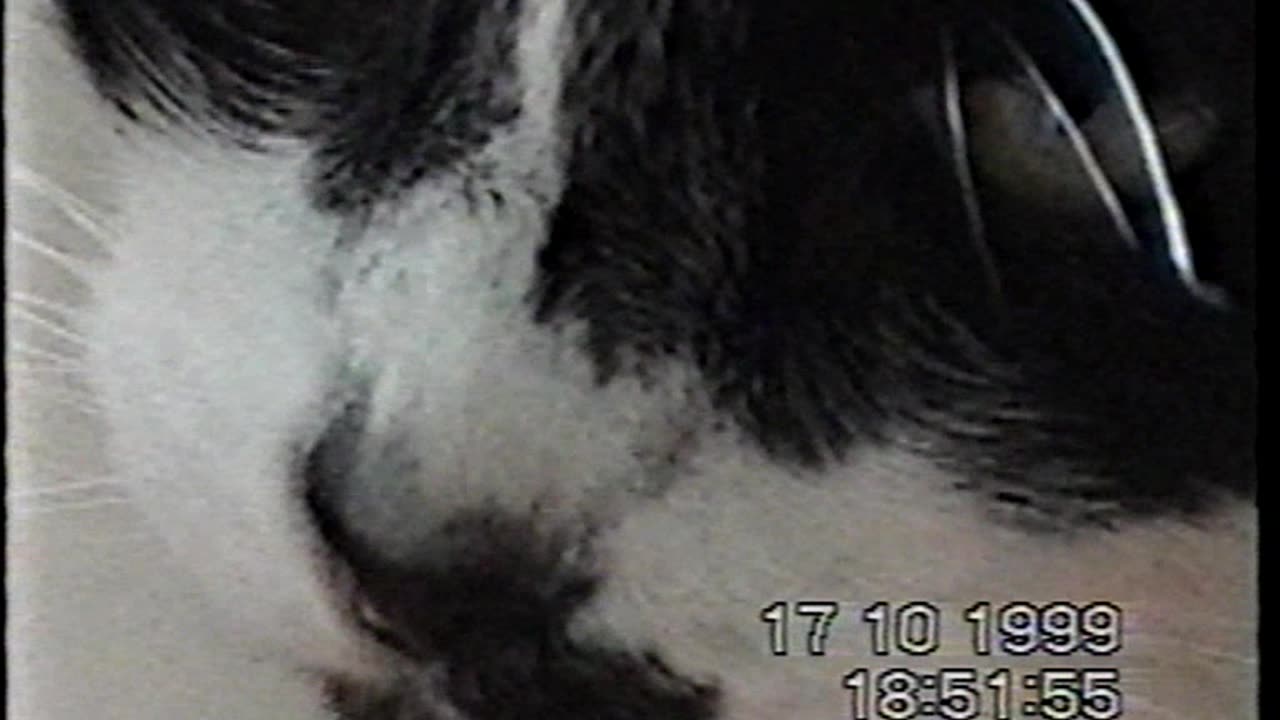 1999 10 17