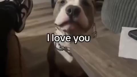 Love You