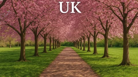 The UK Through the Seasons: A Year of Magic