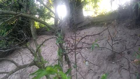 Robimy wino z pokrzywy cz.1