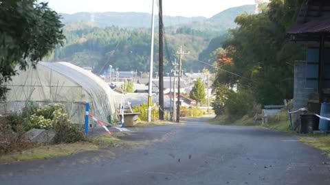 Fluent In Stroll Little Bitch My Girlfriend's On Drugs Noise Complaint Big D And The Kids Table