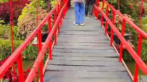 Lake Toba tourism