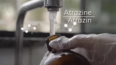 Mercosur☠️kwintesencja chemii i pestycydów☠️