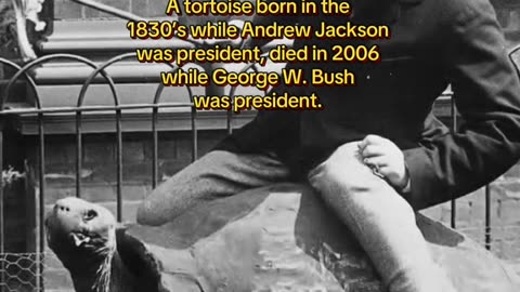 Historical facts that will distort your perception of time