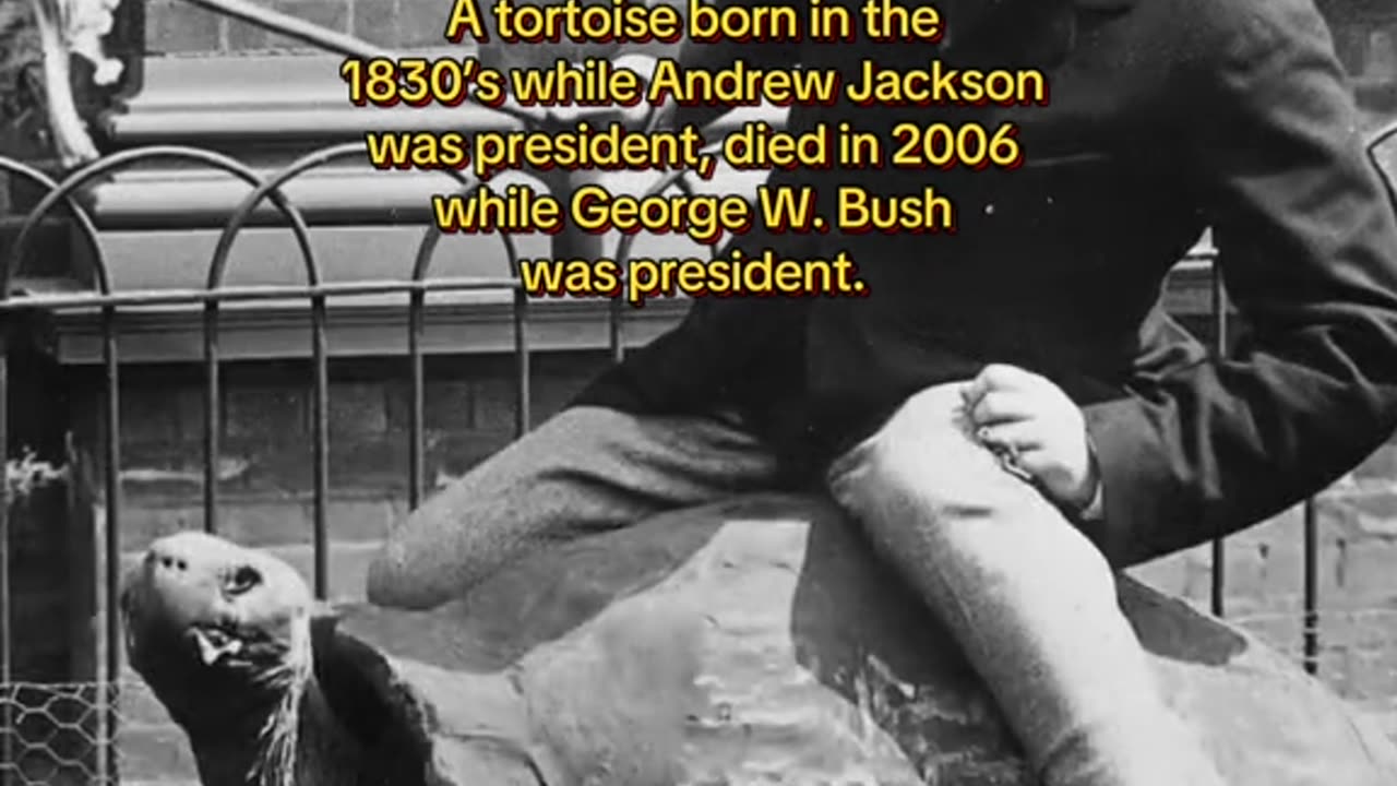 Historical facts that will distort your perception of time