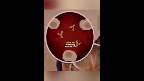 Daddy Goat 24/7 - Out Of Context Memes & Videos