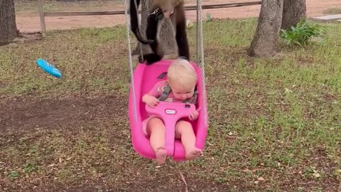 Morning Swing with Frankie the Monkey