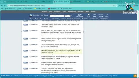 An Omen Of Things To Come - GMS - Greatmillstone