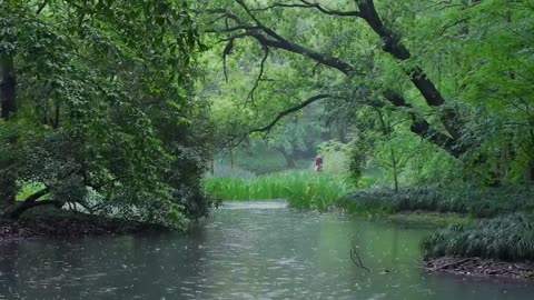 The beautiful little river is raining