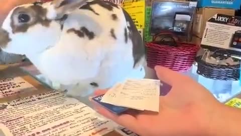 🐶😊 When Your Pet Says 'Thank You' - The Best Goodbye Ever! | FunFM
