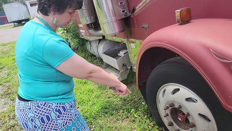 WILL THIS ABANDONED FREIGHTLINER MAKE A GOOD PROJECT / DONOR TRUCK?