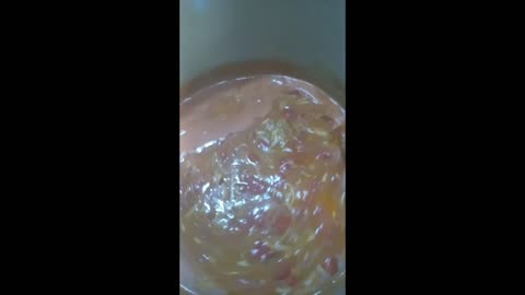 Georgia Brunswick Stew