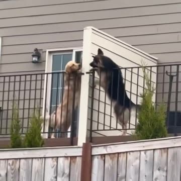 So this is love.. 🎶😊