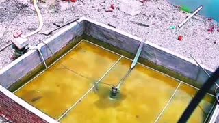 😂🐠 You Won't Believe What Happens to This Fish Lover! | FunFM