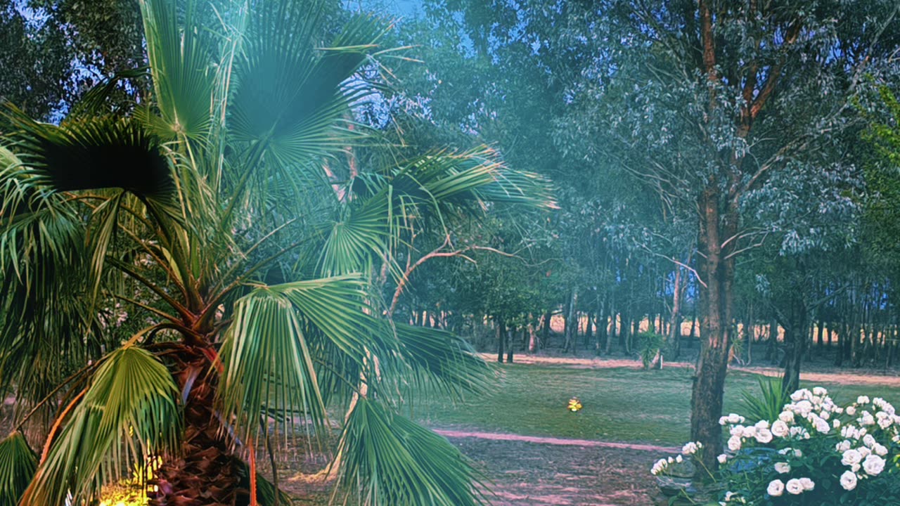 Jaya in the evening…