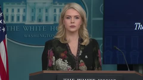 White House speaks after Trump says SNAP benefits won't be paid until shutdown ends